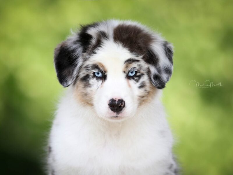 658A04930-e1531151394428